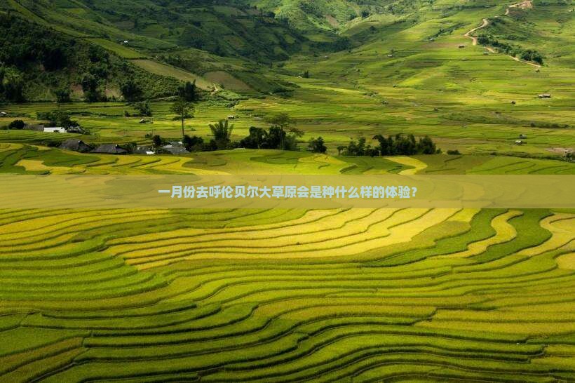 一月去内蒙呼伦贝尔大草原二日游