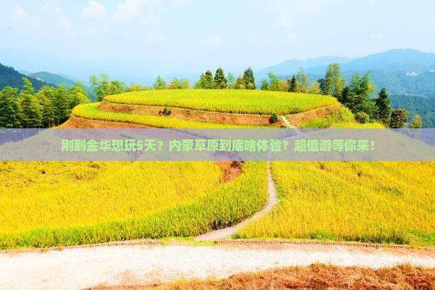 金华去内蒙五日游