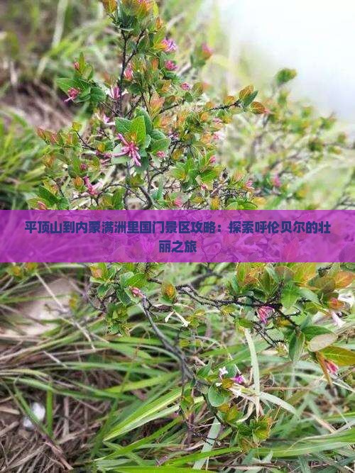 平顶山到内蒙满洲里国门景区攻略 平顶山到内蒙满洲里国门景区攻略