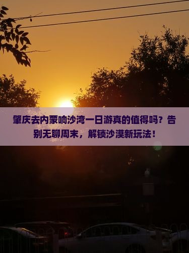 肇庆去内蒙响沙湾一日游