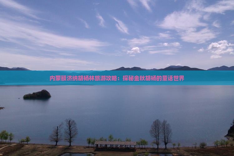 荆门去内蒙额济纳胡杨林二日游