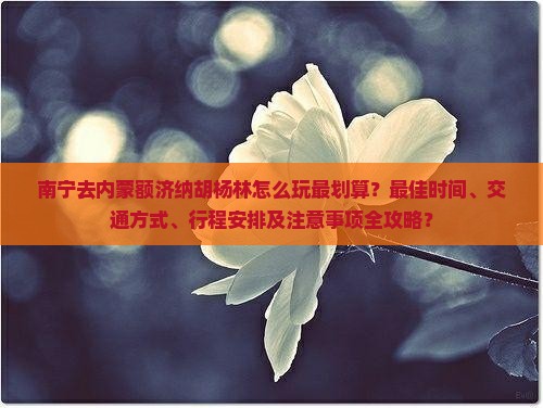 南宁去内蒙额济纳胡杨林攻略