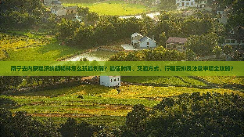 南宁去内蒙额济纳胡杨林攻略