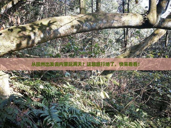 抚州到内蒙二日游