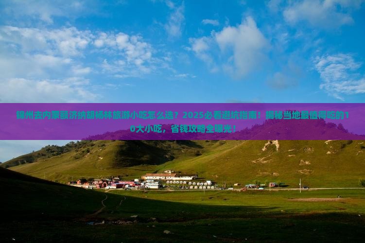 锦州去内蒙额济纳胡杨林旅游小吃