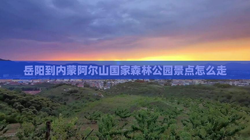岳阳到内蒙阿尔山国家森林公园景点