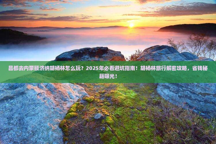 昌都去内蒙额济纳胡杨林旅行社