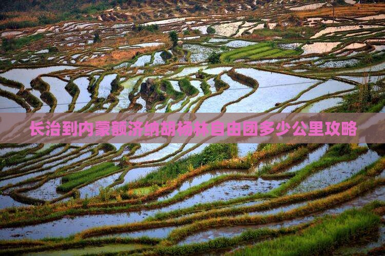长治到内蒙额济纳胡杨林自由团