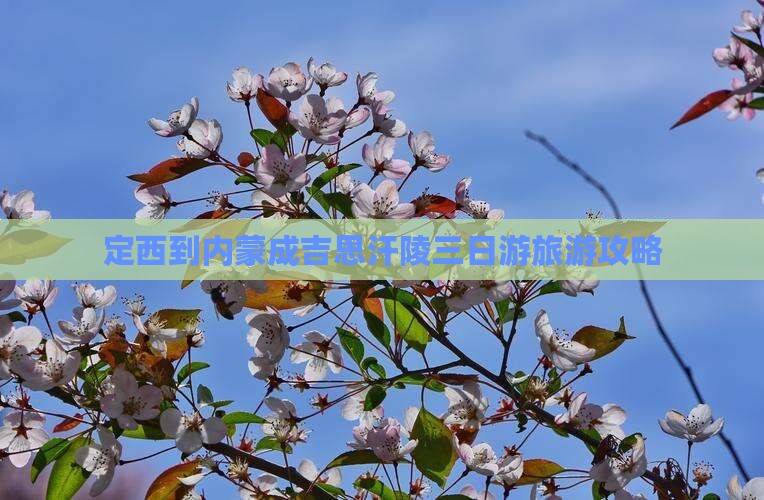 定西到内蒙成吉思汗陵三日游