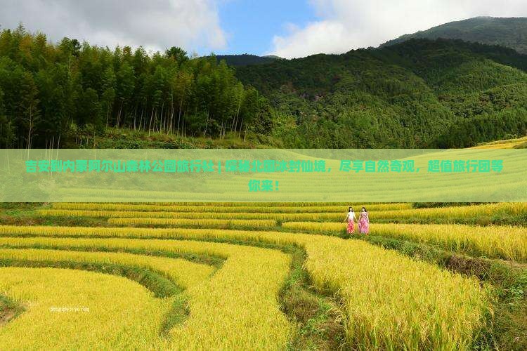 吉安到内蒙阿尔山国家森林公园旅行社