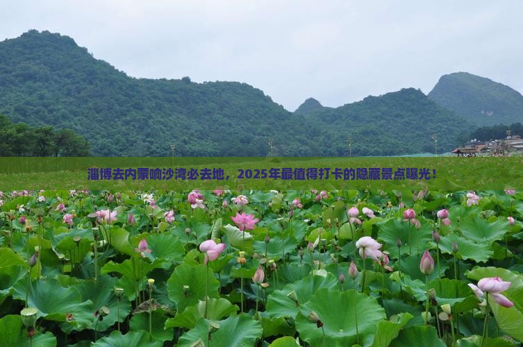 淄博去内蒙响沙湾必去地