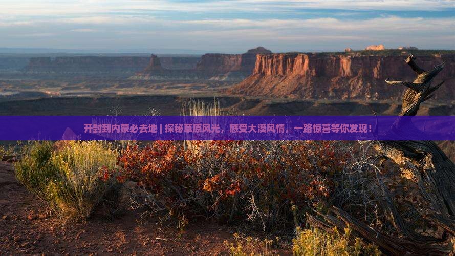 开封到内蒙必去地