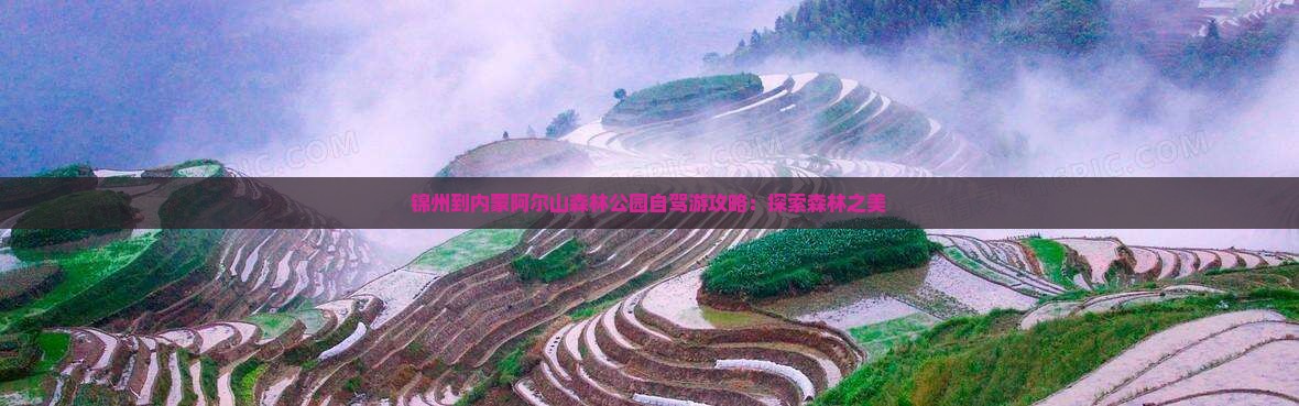 锦州去内蒙阿尔山国家森林公园哪里玩