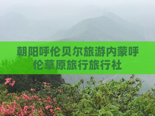 朝阳去内蒙呼伦贝尔大草原旅行社 朝阳去内蒙呼伦贝尔大草原旅行社