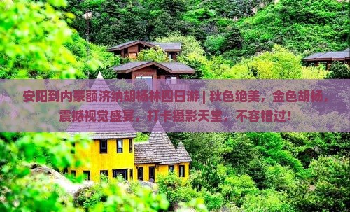 安阳到内蒙额济纳胡杨林四日游
