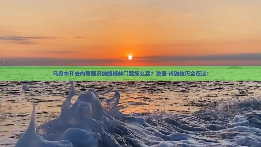 乌鲁木齐去内蒙额济纳胡杨林门票