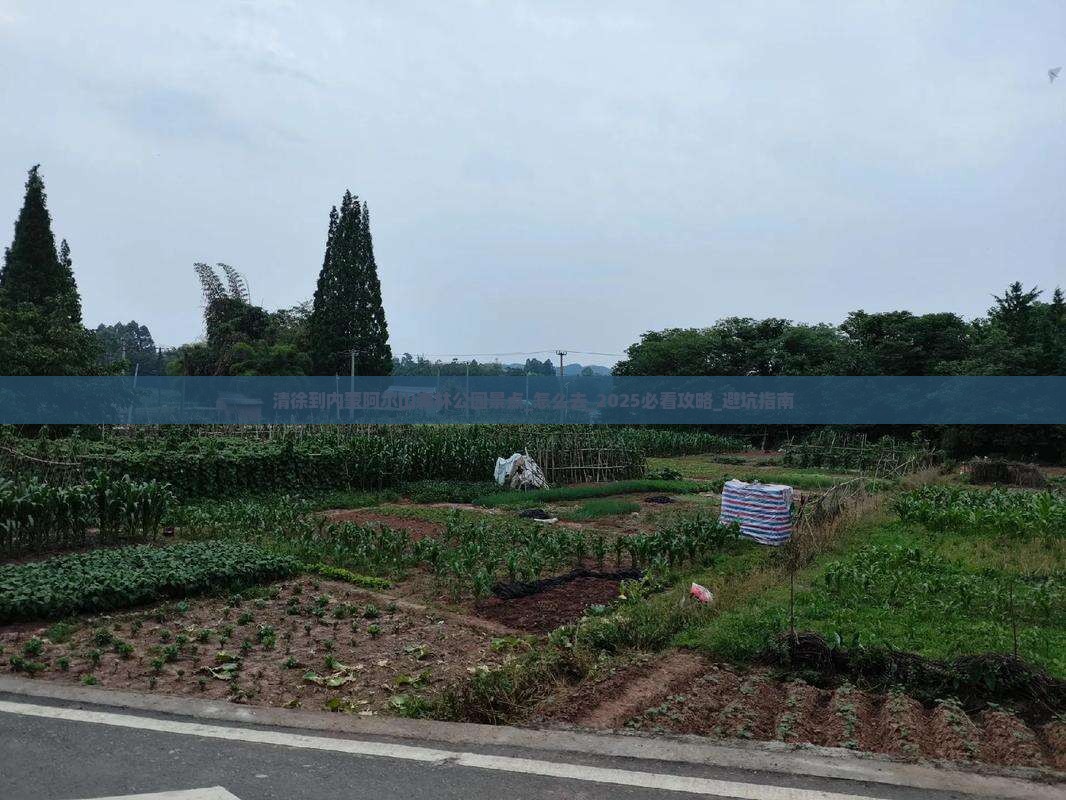 清徐到内蒙阿尔山国家森林公园景点