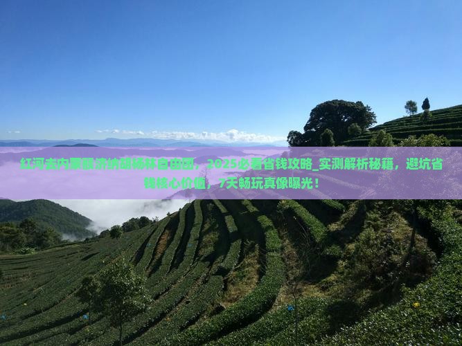 红河去内蒙额济纳胡杨林自由团