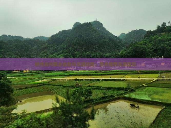 柳州去内蒙必去地与交通攻略：景点推荐及票信息