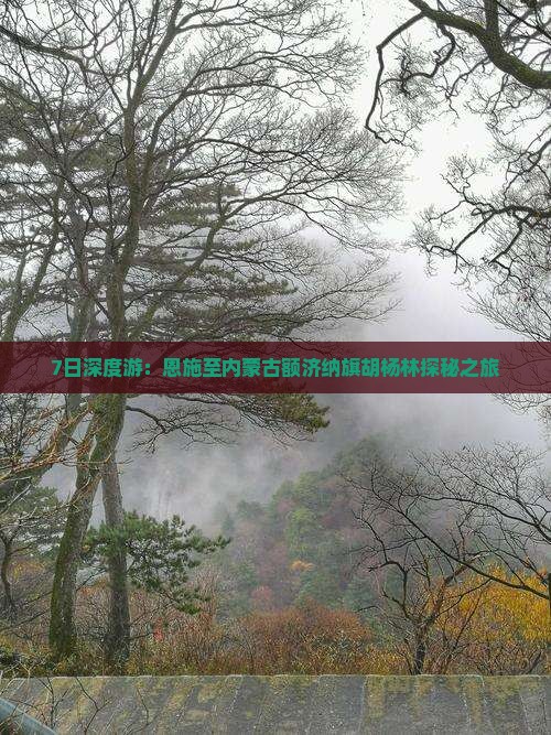 7日深度游：恩施至内蒙古额济纳旗胡杨林探秘之旅