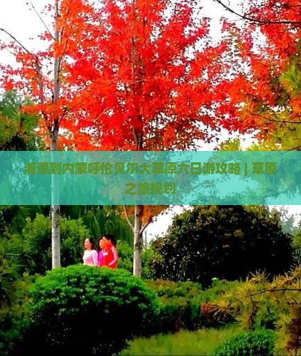 湘潭到内蒙呼伦贝尔大草原六日游攻略 | 草原之旅规划