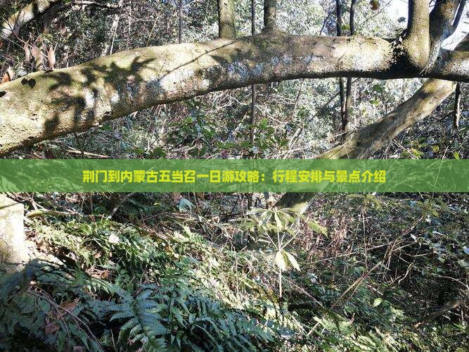 荆门到内蒙古五当召一日游攻略：行程安排与景点介绍