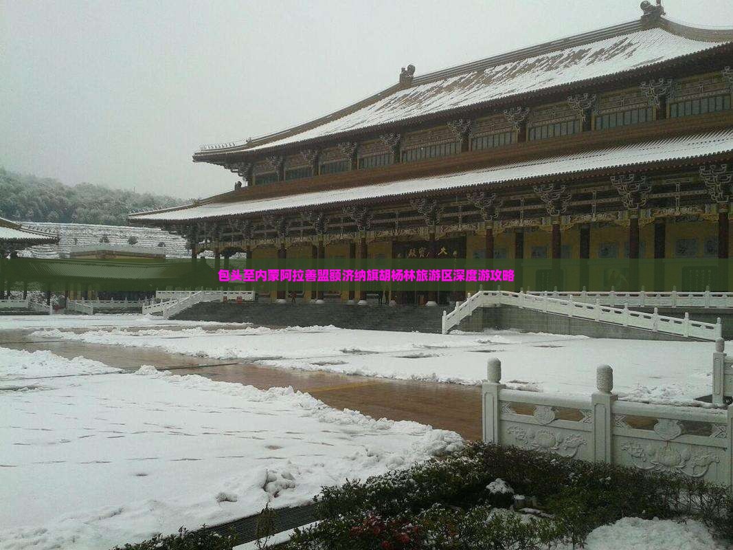 包头至内蒙阿拉善盟额济纳旗胡杨林旅游区深度游攻略