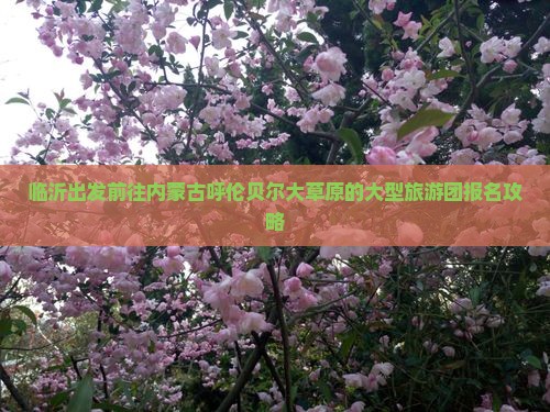 临沂出发前往内蒙古呼伦贝尔大草原的大型旅游团报名攻略