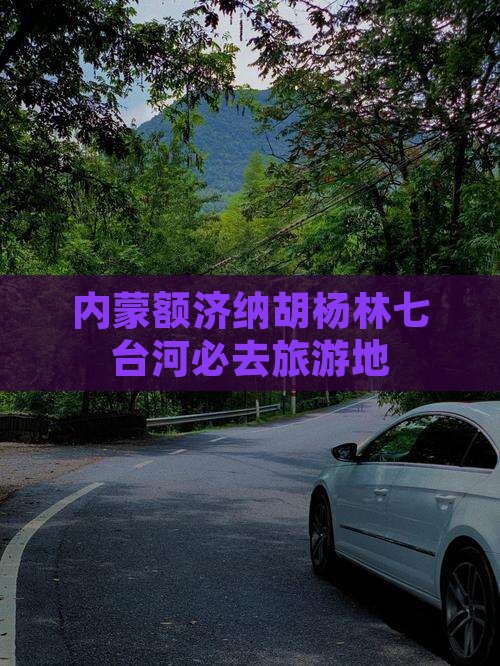 内蒙额济纳胡杨林七台河必去旅游地