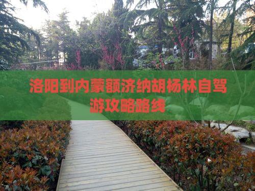 洛阳到内蒙额济纳胡杨林自驾游攻略路线