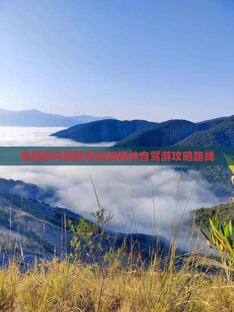 洛阳到内蒙额济纳胡杨林自驾游攻略路线