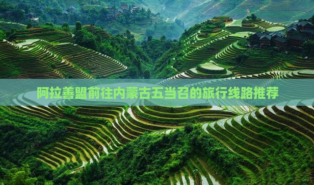 阿拉善盟前往内蒙古五当召的旅行线路推荐