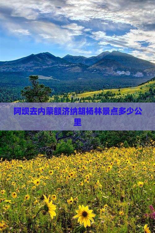 阿坝去内蒙额济纳胡杨林景点多少公里