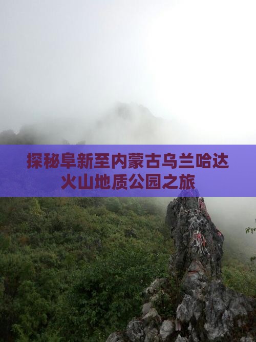 探秘阜新至内蒙古乌兰哈达火山地质公园之旅