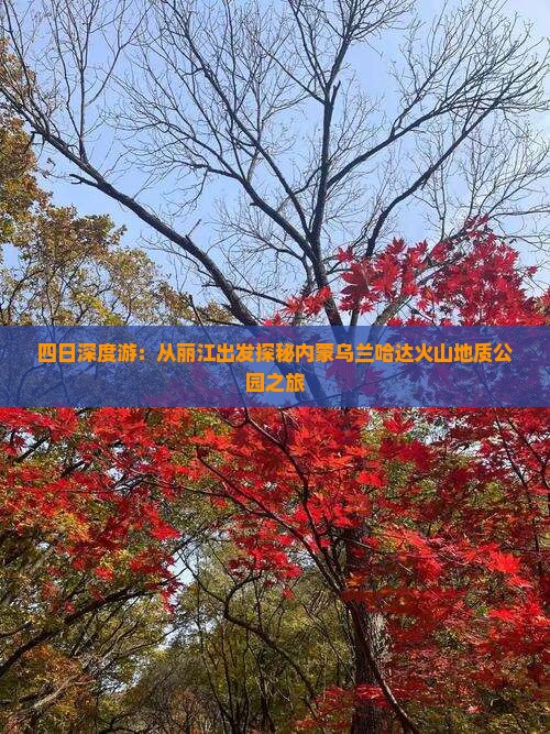 四日深度游：从丽江出发探秘内蒙乌兰哈达火山地质公园之旅