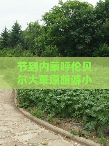 节到内蒙呼伦贝尔大草原旅游小吃与风景
