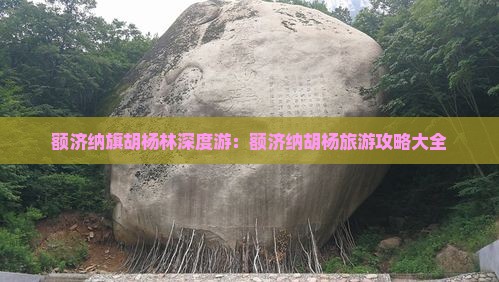 额济纳旗胡杨林深度游：额济纳胡杨旅游攻略大全