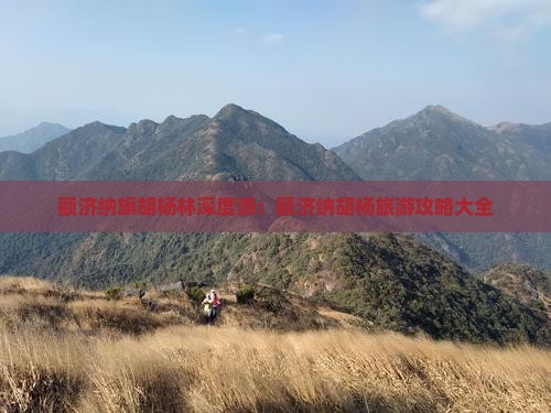 额济纳旗胡杨林深度游：额济纳胡杨旅游攻略大全