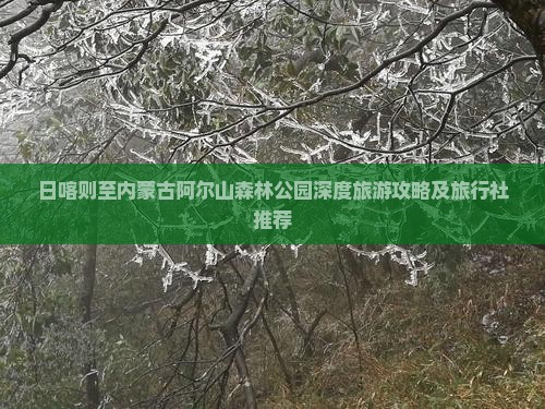 日喀则至内蒙古阿尔山森林公园深度旅游攻略及旅行社推荐