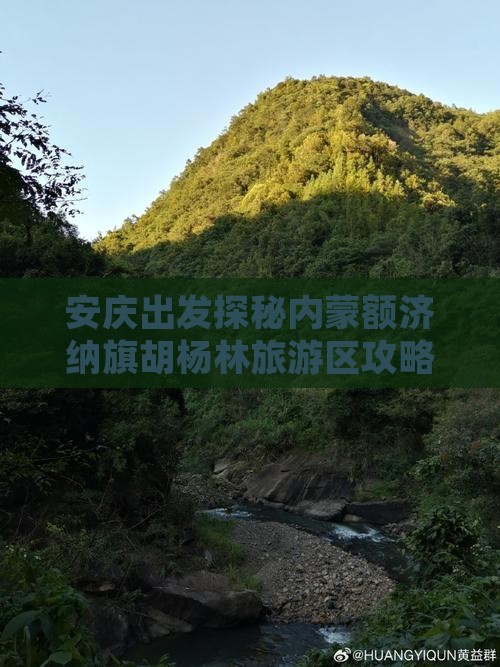 安庆出发探秘内蒙额济纳旗胡杨林旅游区攻略