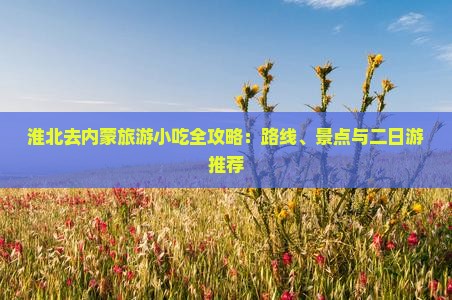 淮北去内蒙旅游小吃全攻略：路线、景点与二日游推荐