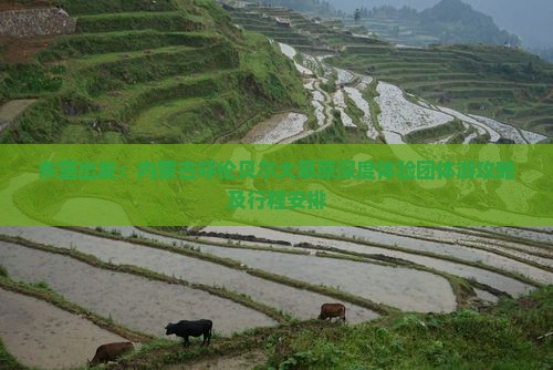 东营出发：内蒙古呼伦贝尔大草原深度体验团体游攻略及行程安排