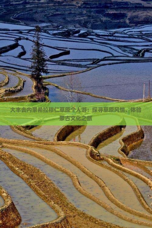 大丰去内蒙希拉穆仁草原个人游：探寻草原风情、体验蒙古文化之旅