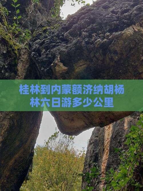 桂林到内蒙额济纳胡杨林六日游多少公里