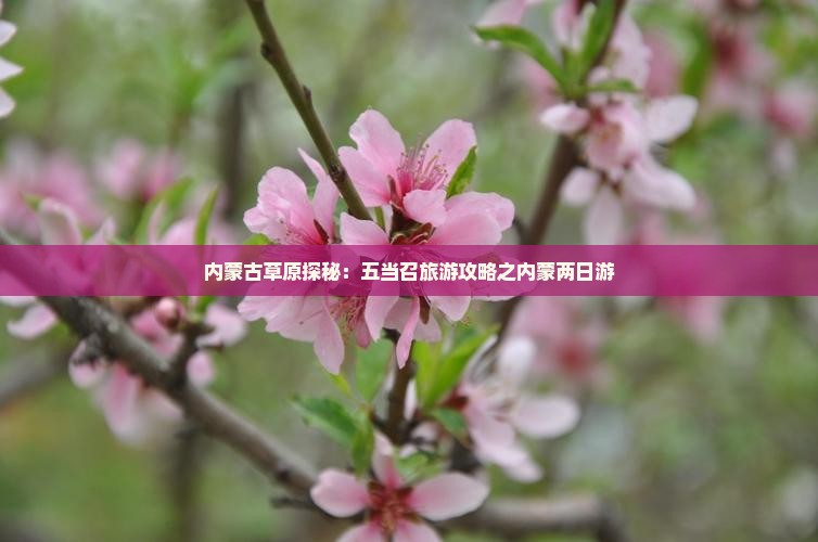 内蒙古草原探秘：五当召旅游攻略之内蒙两日游
