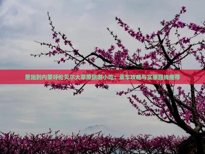 恩施到内蒙呼伦贝尔大草原旅游小吃：乘车攻略与实惠路线推荐