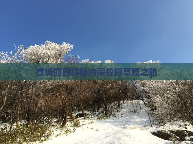 宣城四日探秘内蒙拉穆草原之旅
