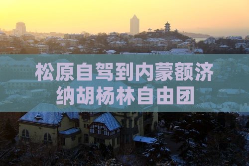 松原自驾到内蒙额济纳胡杨林自由团