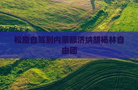 松原自驾到内蒙额济纳胡杨林自由团