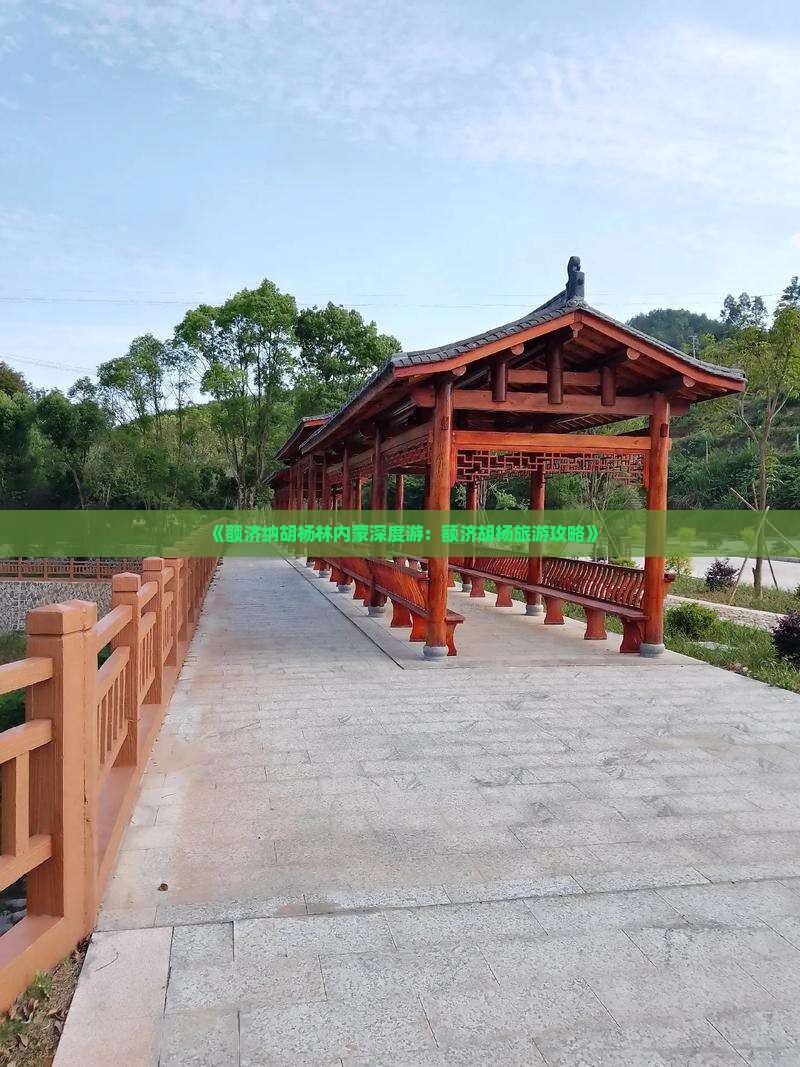 《额济纳胡杨林内蒙深度游：额济胡杨旅游攻略》